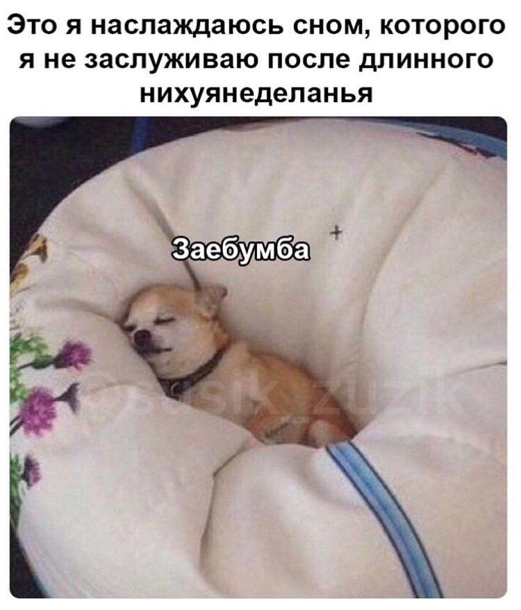 Это я наслаждаюсь сном, которого я не заслуживаю после длинного нихуянеделанья Заебумба