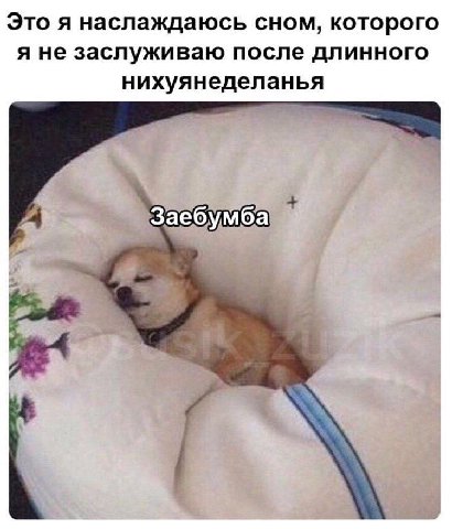 Это я наслаждаюсь сном, которого я не заслуживаю после длинного нихуянеделанья Заебумба