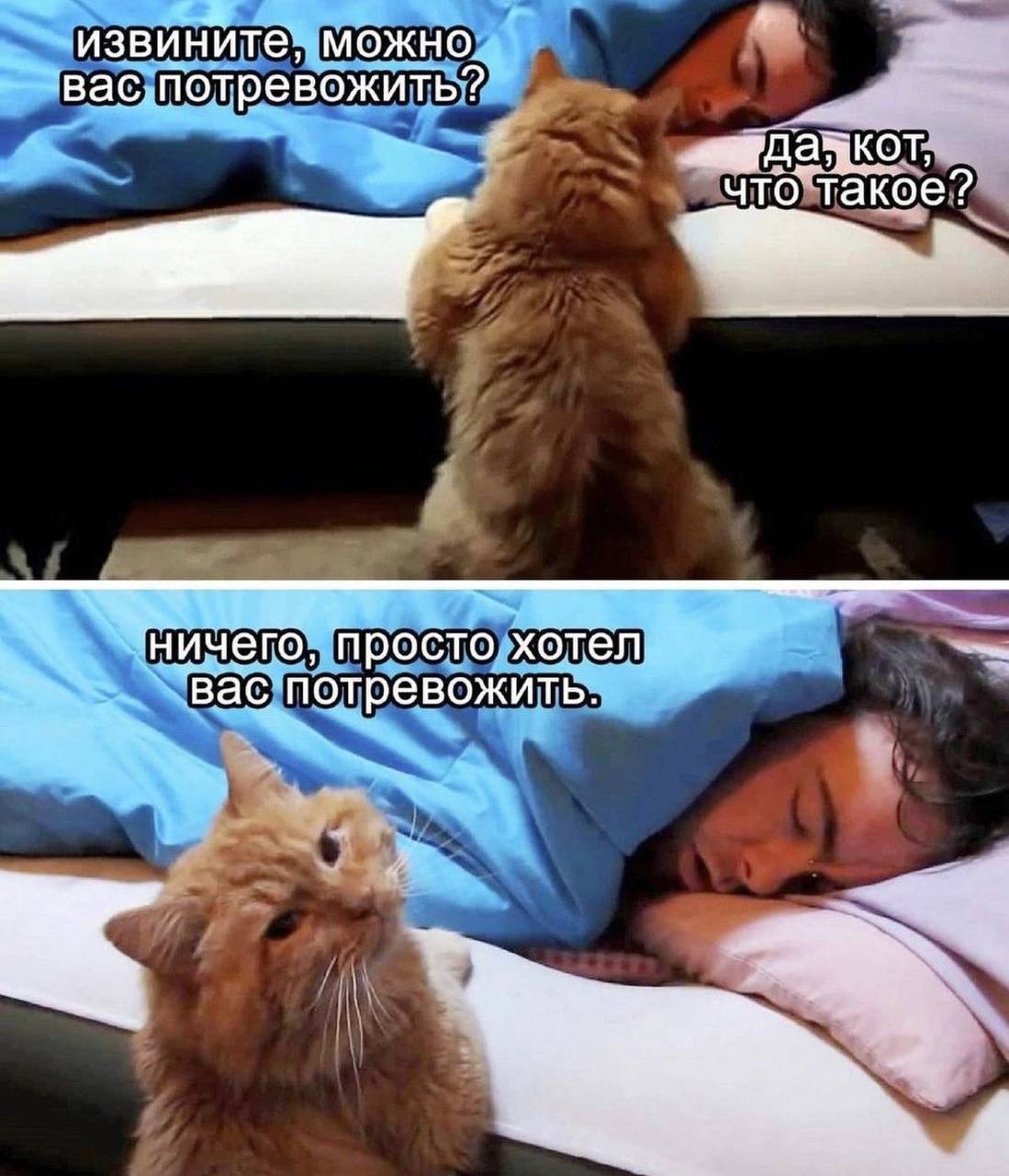 4 извините, можно. вас, потревожить? что такое? ‘ничего, просто хотел вас потревожить. к