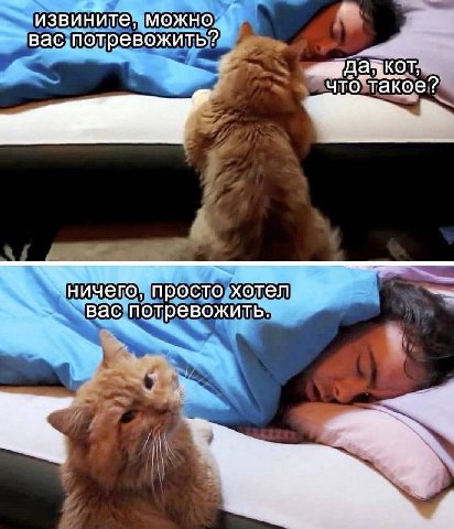 4 извините, можно. вас, потревожить? что такое? ‘ничего, просто хотел вас потревожить. к