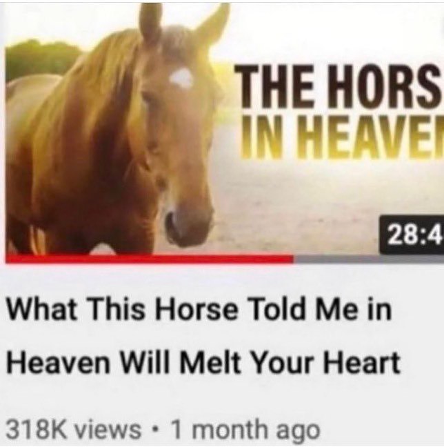 THEHORS TAL 28:4 What This Horse Told Heaven Will Melt Your Heart views 1 month ago