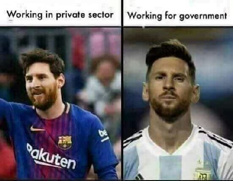 Working in private sector Working for government