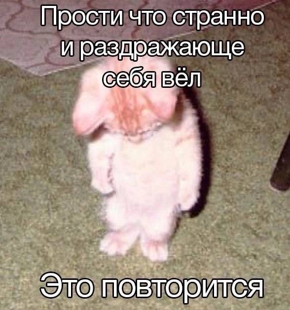 Прости что странно ираздражающе Это повторится