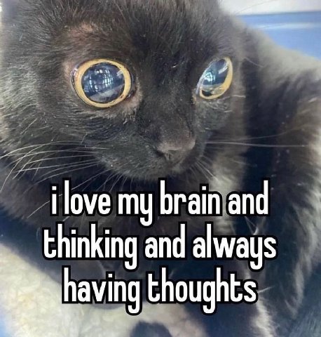 ilove my brain and thinking and always thoughts