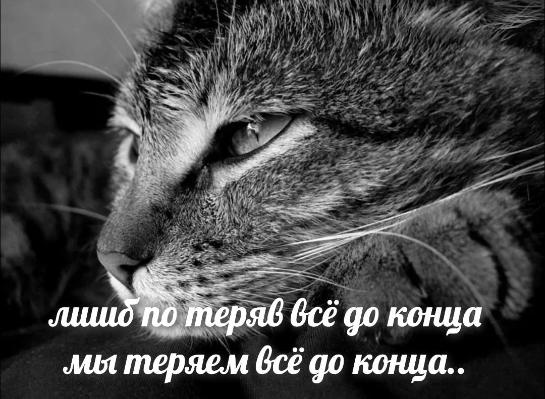 no теряв конца мы теряем всё до конца..
