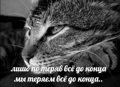 no теряв конца мы теряем всё до конца..