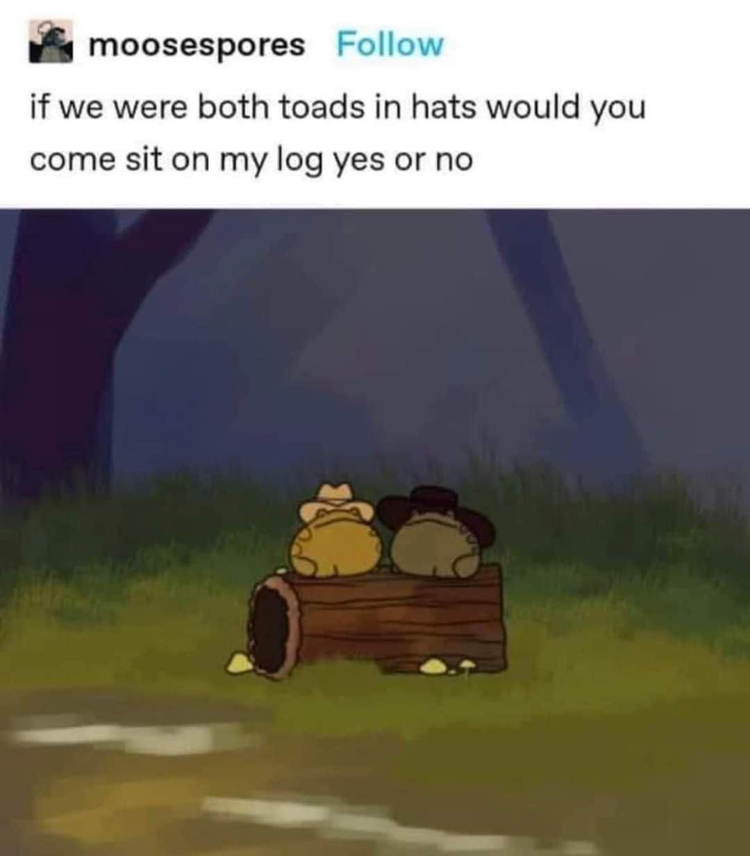 moosespores Follow if we were both toads in hats would you come sit on my log yes or no