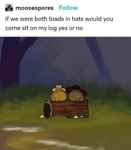 moosespores Follow if we were both toads in hats would you come sit on my log yes or no