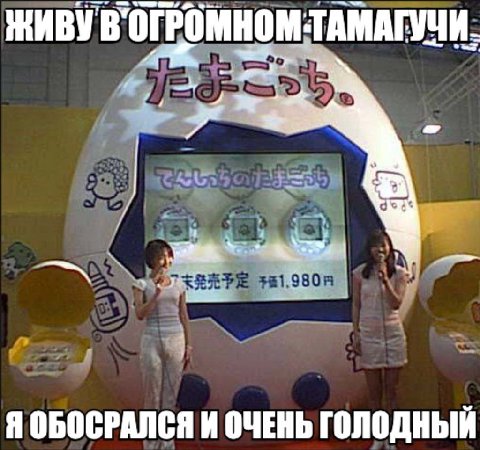 ЖИВУ В'ОГРОМНОМТАМАГУЧИ. a Я ОБОСРАЛСЯ И ОЧЕНЬ ГОЛОДНЫЙ