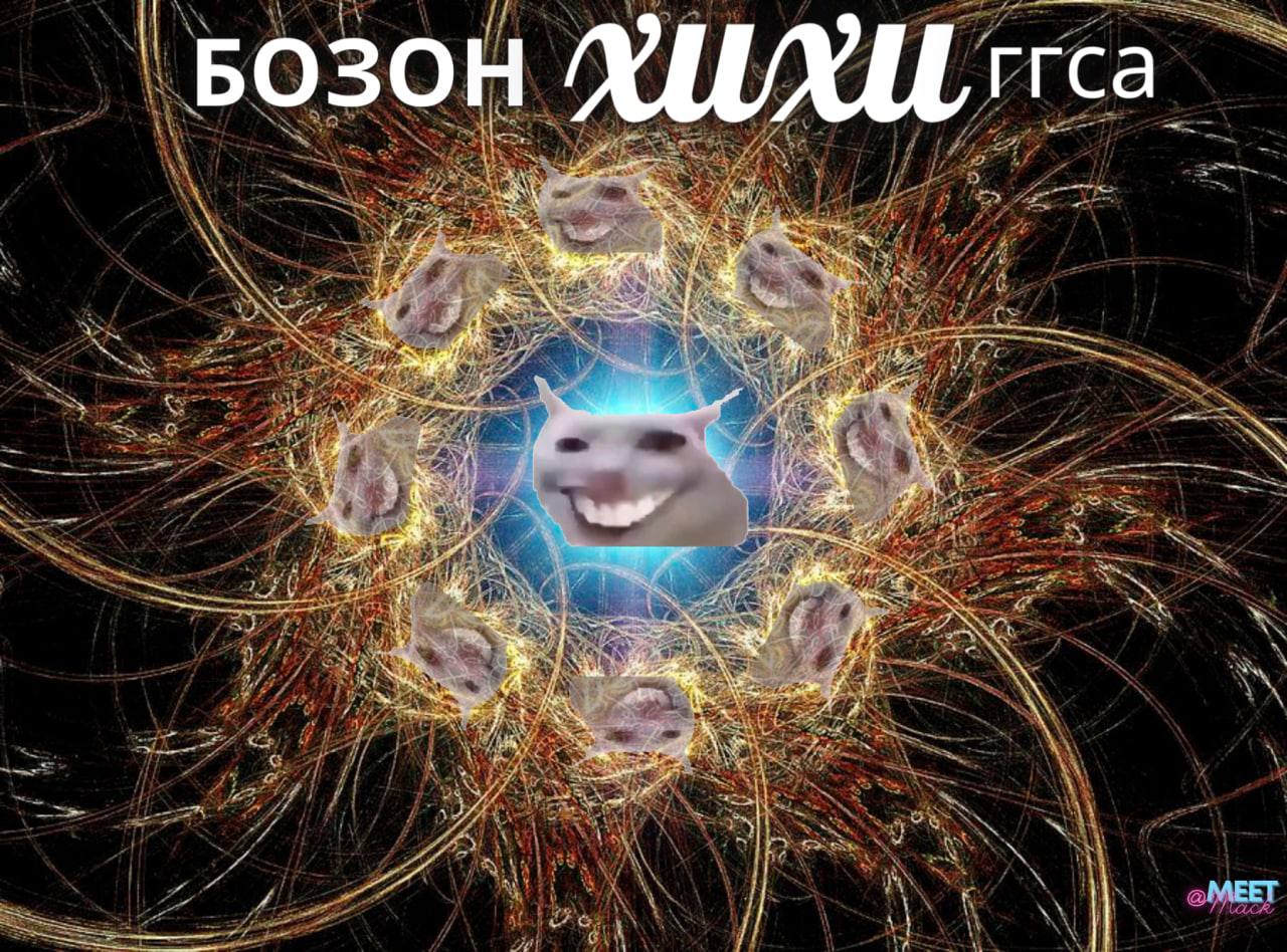 'БОЗОН #1 ‚МЕЕТ Я