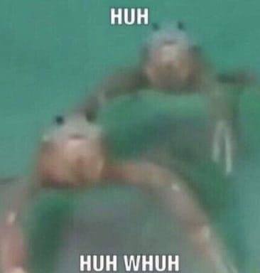 HUH HUH WHUH