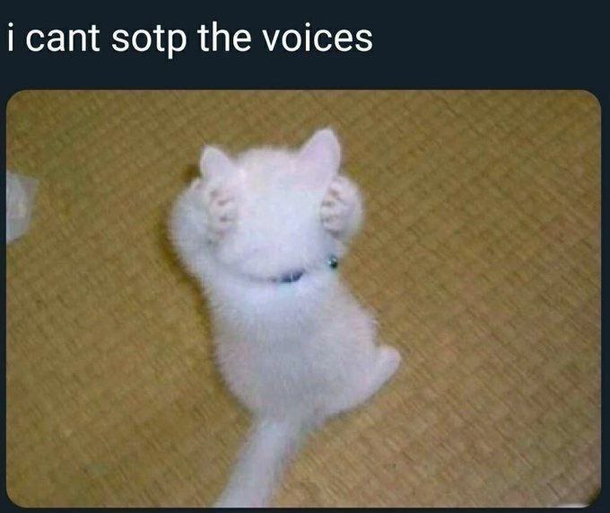 i cant sotp the voices