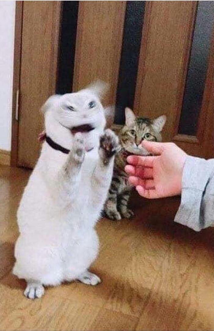 4 a a к