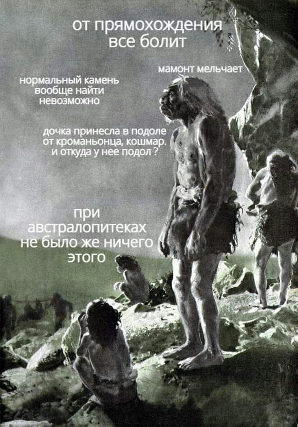 от прямохождения все болит MaMOHT мельчает\ нормальный камень вообще найти невозможно дочка принесла в подоле кроманьонца, кошмар. и откуда у нее подол? при алопитеках ‘австр не было же ничего. ЭТОГО 