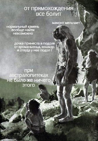 от прямохождения все болит MaMOHT мельчает\ нормальный камень вообще найти невозможно дочка принесла в подоле кроманьонца, кошмар. и откуда у нее подол? при алопитеках ‘австр не было же ничего. ЭТОГО 