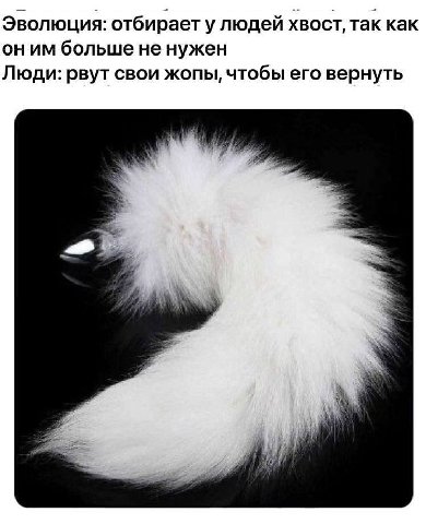 Эволюция: отбирает улюдей хвост, так как больше не нужен Люди: рвут свои жопы, чтобы его вернуть