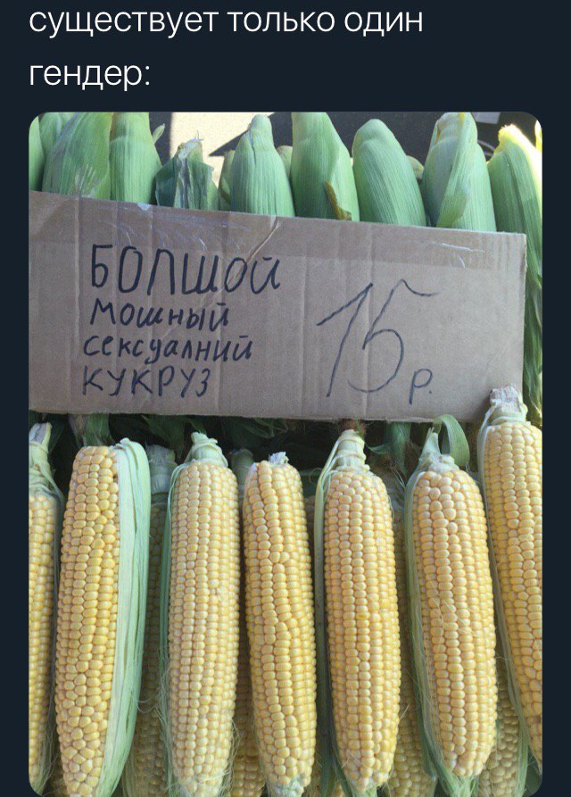 это реально работает!