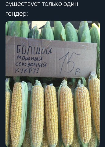 это реально работает!