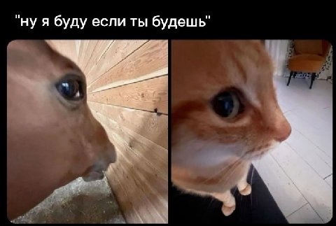 "ну я буду если ты будешь"