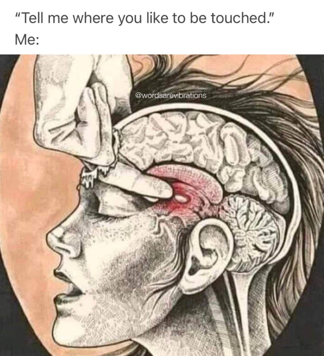 “Tell me where you like to be touched.” Me: 4 @wordsarevibrations А: у У hes i у