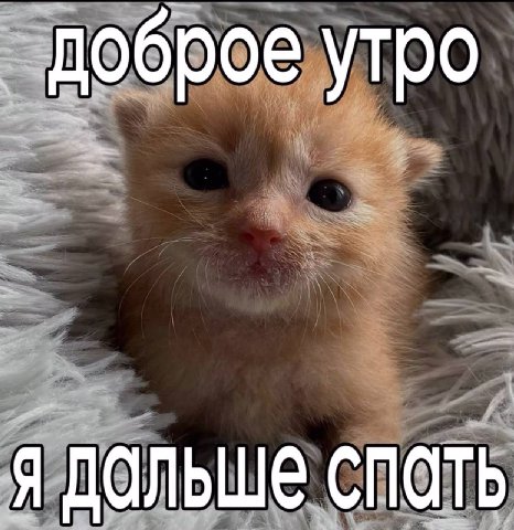 утро субботы