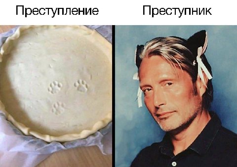 Преступление Преступник