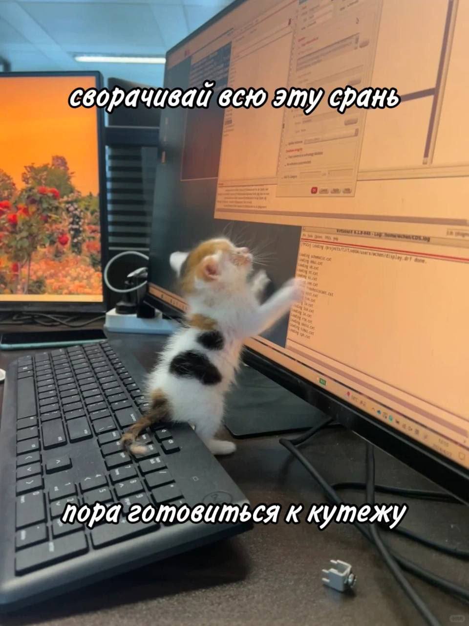 сворачивай всю эту срань пора готовиться к кутежу