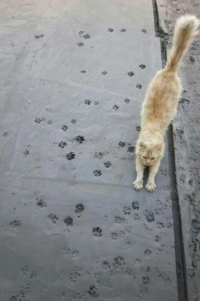 у