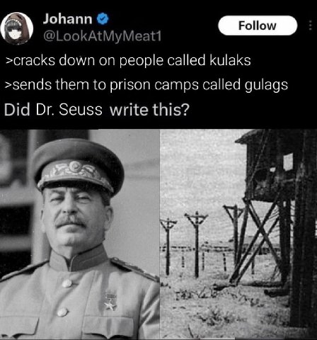 Johann @LookAtMyMeatt1 >cracks down on people called kulaks >sends them to prison camps called gulags Did Seuss write this? 3 4