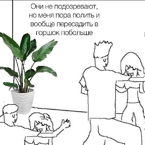Они не подозревают, но меня пора полить и вообще пересадить в горшок побольше У