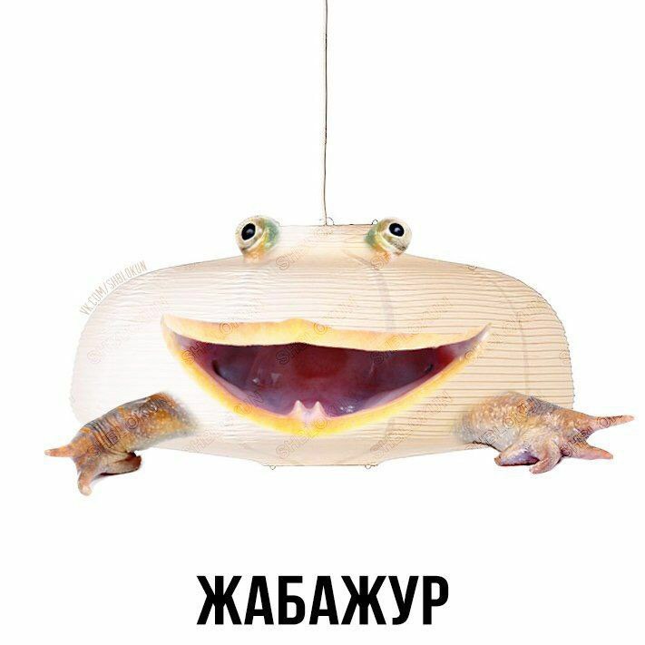 4 ЖАБАЖУР