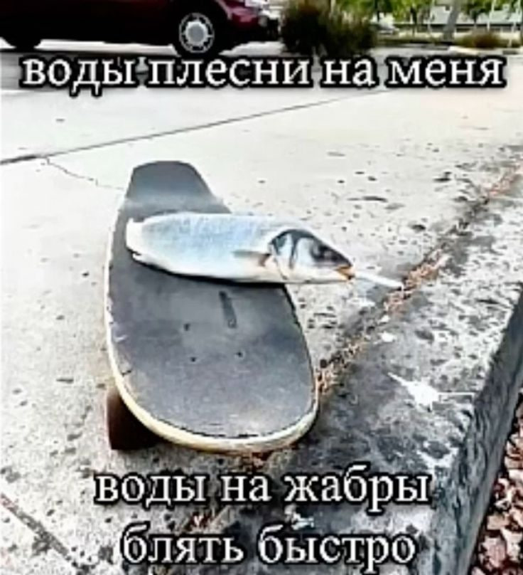 на 4 JIATb быстро