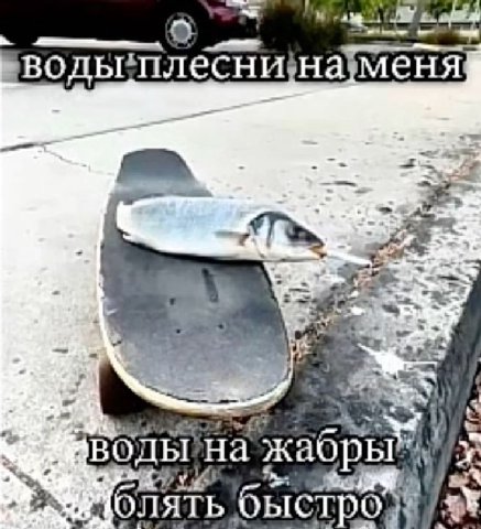 на 4 JIATb быстро
