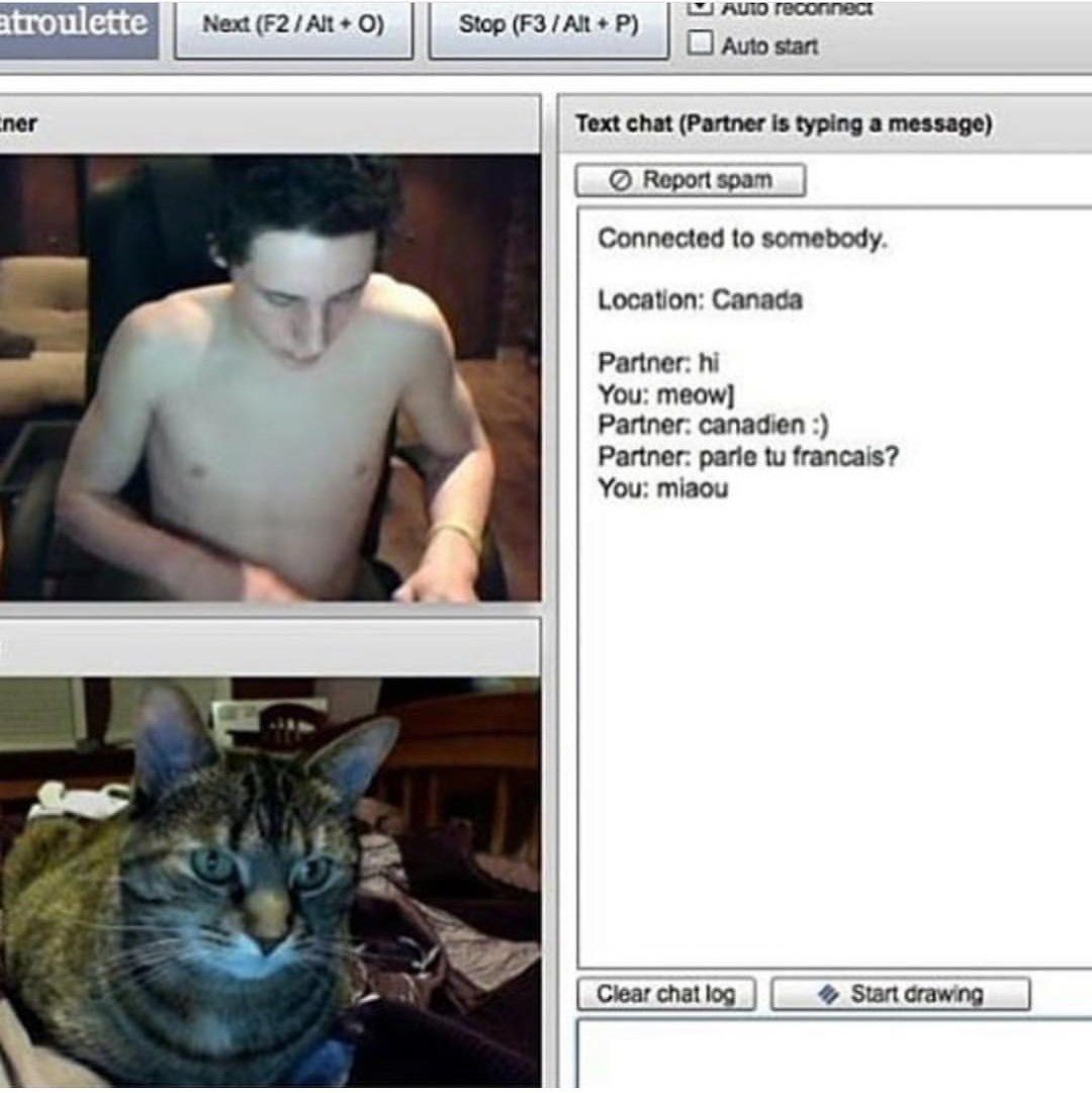 Next О) Stop (F3/Alt ner Text chat (Partner is typing a message) Report spam Connected to somebody. Location: Canada Partner: You: meow] Partner: canadien Partner: francais? You: miaou Clear спа! Star