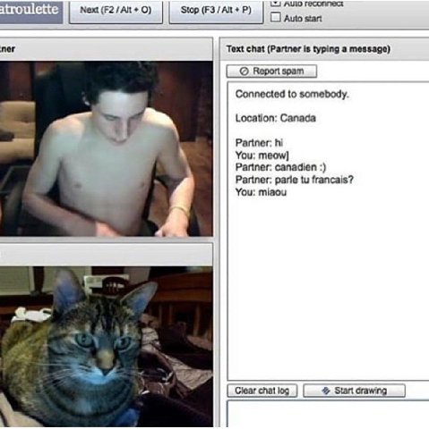 Next О) Stop (F3/Alt ner Text chat (Partner is typing a message) Report spam Connected to somebody. Location: Canada Partner: You: meow] Partner: canadien Partner: francais? You: miaou Clear спа! Star