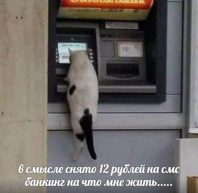 6 слиясле снято 12 рублей на смс банкинг на что мне жить