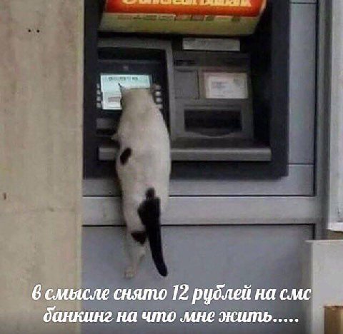 6 слиясле снято 12 рублей на смс банкинг на что мне жить