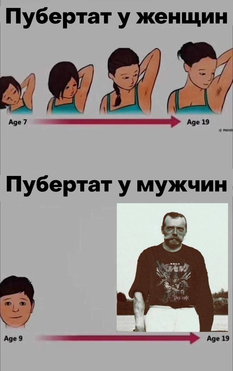 Пубертат у женщин Age7 Age 19 Пубертат у мужчин Аде 9 Age 19
