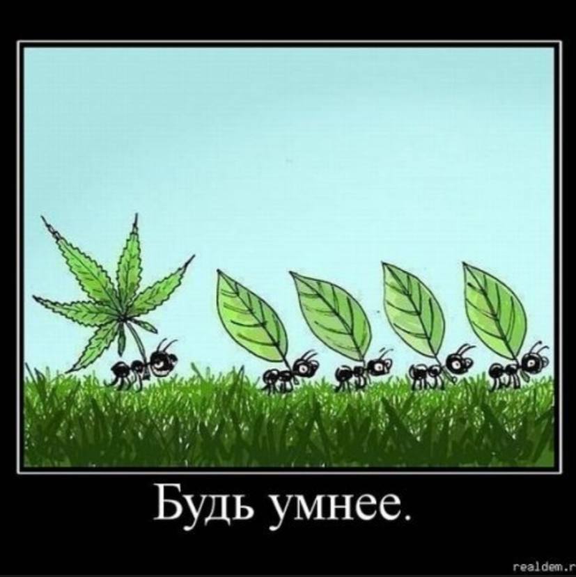 7} at Будь умнее. дет