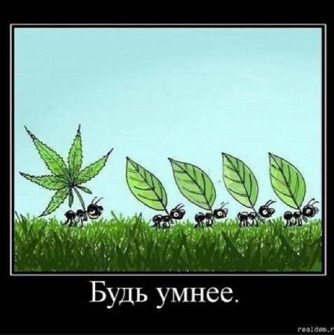 7} at Будь умнее. дет