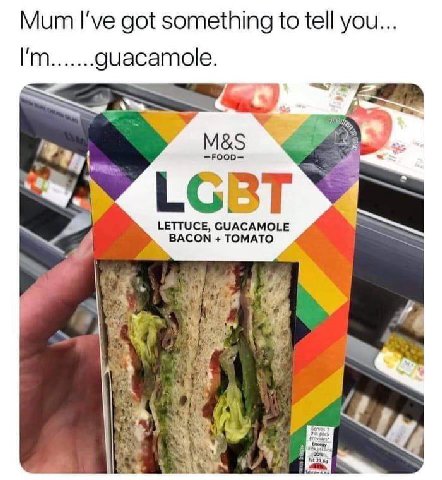 Mum I've got something to tell you... I'm.......guacamole. LGBT Vig LETTUCE, GUACAMOLE ВАСОМ ТОМАТО А We 4 ane