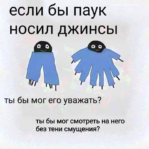 если бы паук НОСИЛ ДЖИНСЫ ты бы мог его уважать? ты бы мог смотреть на него без тени смущения?