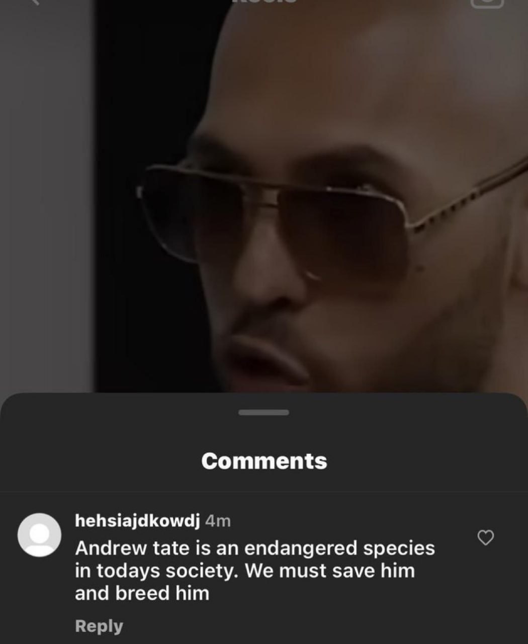 Comments hehsiajdkowdj Andrew tate is an endangered species in todays society. We must save him and breed him Reply
