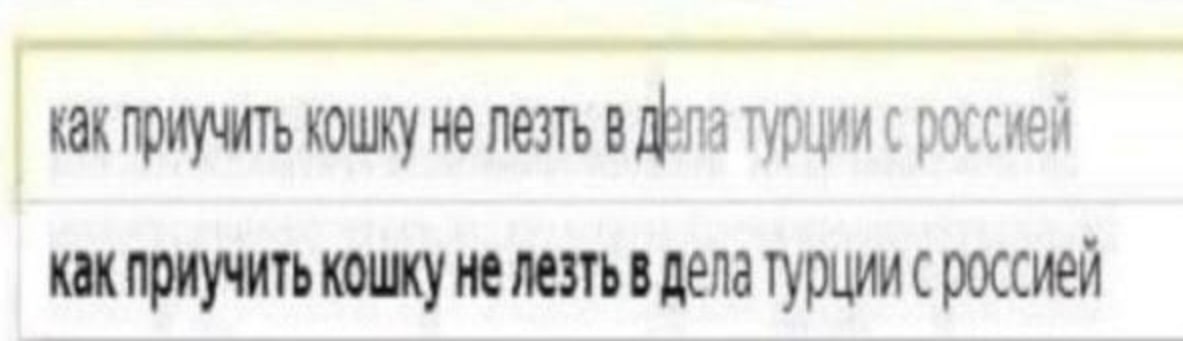 как приучить кошку не лезть в турции с россией как приучить кошку не лезть в дела турции с россией