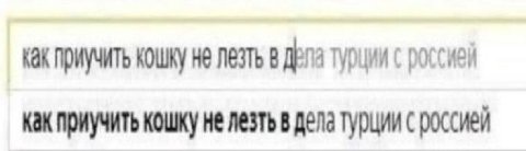 как приучить кошку не лезть в турции с россией как приучить кошку не лезть в дела турции с россией