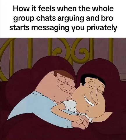 How К feels when the whole group chats arguing and bro starts messaging you privately