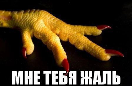 МНЕТЕБЯ ЖАЛЬ