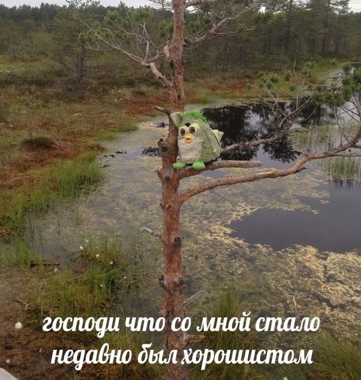 2 господи что мной стало недавно хорошистом