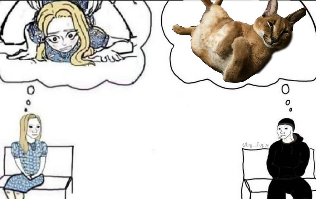 7 a О О о 0 0 A