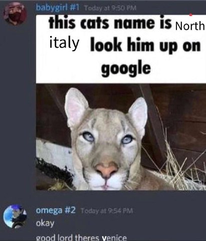 this cats name 1$ North italy him up on google a omega #2 okay good lord theres venice